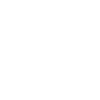 Speicherflags