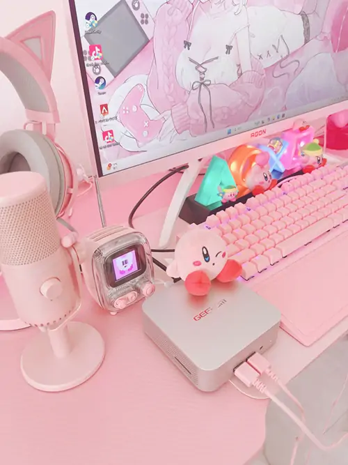 Pink PC Desktop-Display
