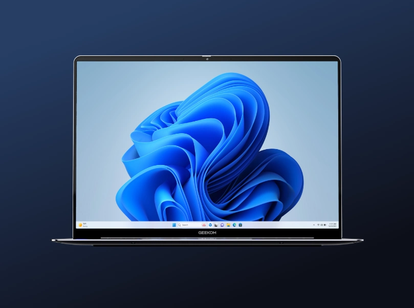 Windows 11 Pro vorinstalliert