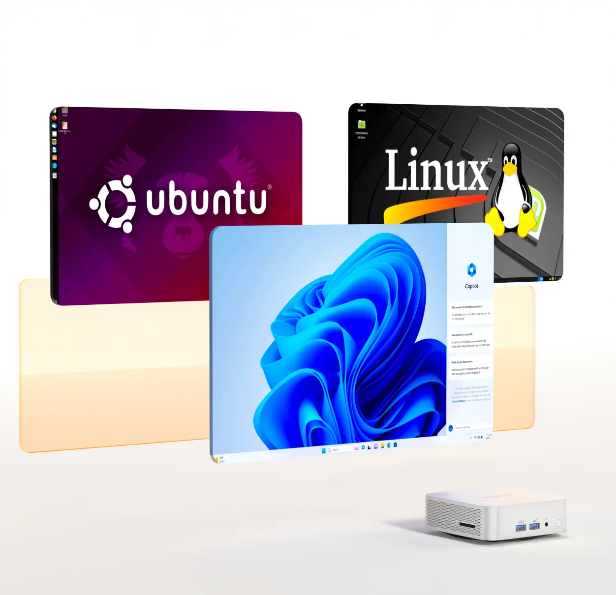 Window 11 Pro und Linux