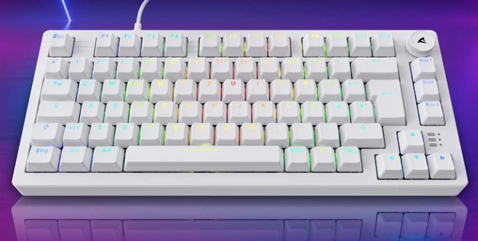 Sharkoon Skiller SGK25 – Beste Gaming-Tastatur unter 60 €