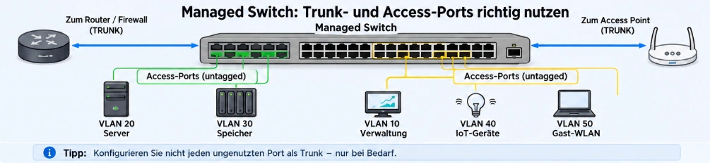 Managed Switch in einem VLAN Homelab mit Trunk-Ports, Access-Ports und VLANs für Server, Speicher, Verwaltung, IoT und Gast-WLAN.